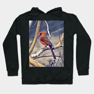 Northern Cardinal Hoodie